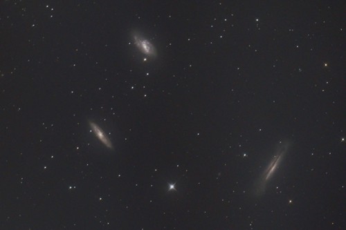M 66 Group: The Leo Triplet