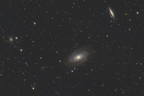 M 81, Bode's Galaxy
