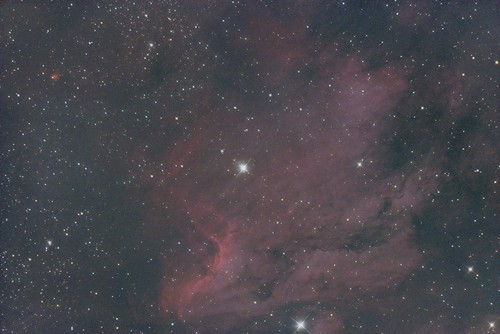 IC 5067, The Pelican Nebula