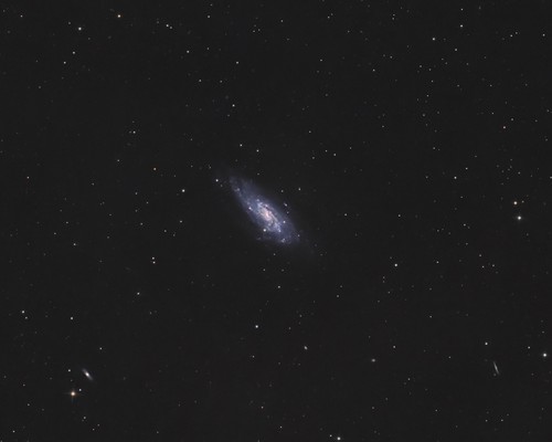 NGC 4559, The Koi Fish Galaxy